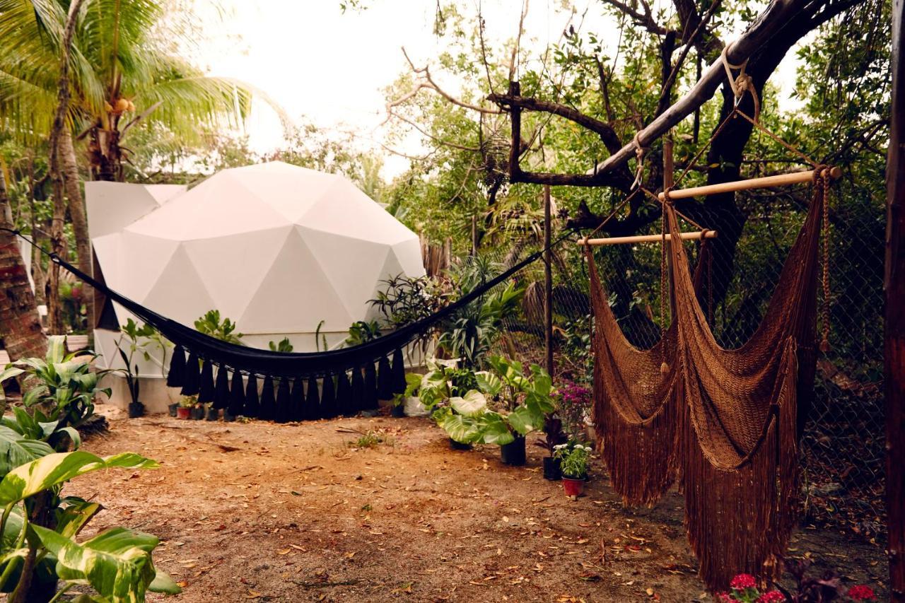 Frequency Hotel Isla Holbox Exterior photo